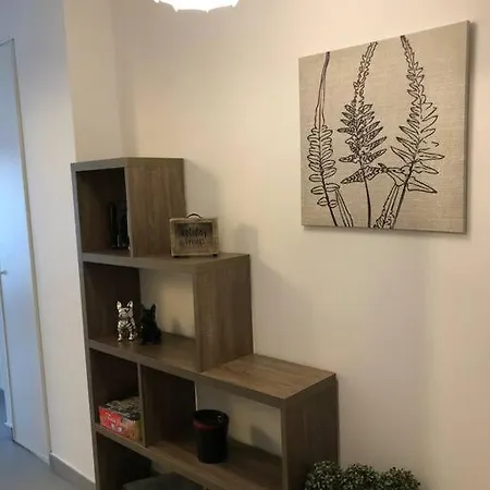 T2 Recent Climatise A 100m Du Port 公寓 *